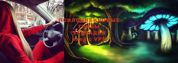 не бодяженный Каменногорск
