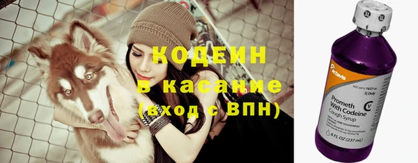 спиды Иннополис