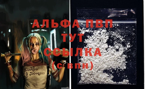не бодяженный Каменногорск