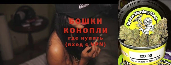 индика Каменск-Шахтинский