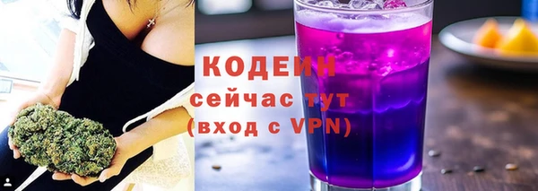индика Каменск-Шахтинский