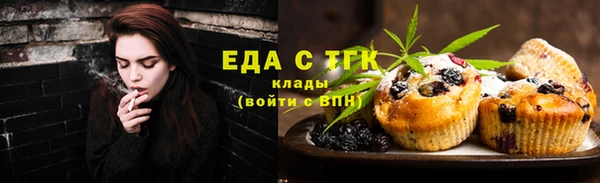 индика Каменск-Шахтинский