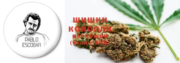 молекула духа Каменка