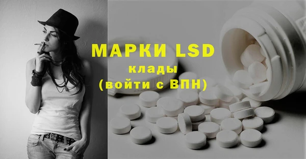 молекула духа Каменка