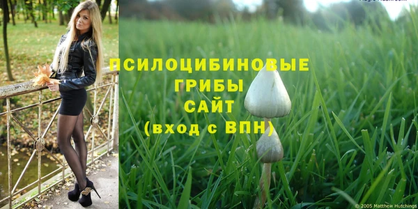 молекула духа Каменка