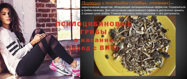 индика Каменск-Шахтинский