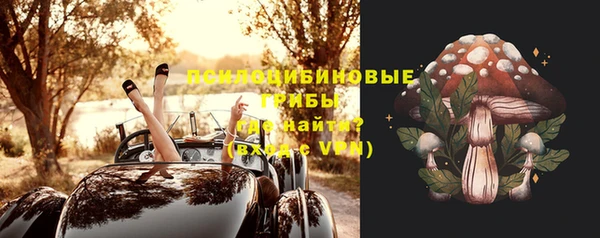 не бодяженный Каменногорск